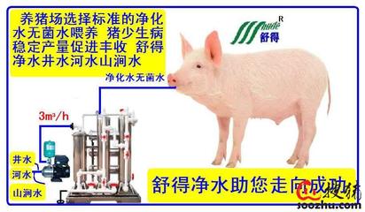 精品綠色環(huán)保水處理設(shè)備助力養(yǎng)豬場高效機械化養(yǎng)殖